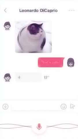 如何攻击网站软件程序维护界面